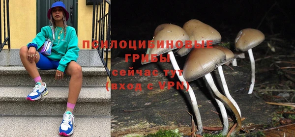 ГАЛЛЮЦИНОГЕННЫЕ ГРИБЫ Зеленокумск