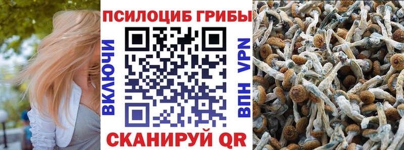 Галлюциногенные грибы прущие грибы  MEGA   площадка телеграм  Сенгилей 