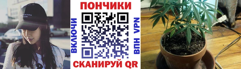 Марихуана конопля  Сенгилей 